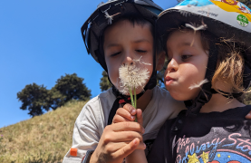 Appia Antica and Catacombs by ebike: guided tour with Private Transfer from Circus Maximus