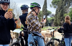 Appia Antica and Catacombs by ebike: guided tour with Private Transfer from Circus Maximus