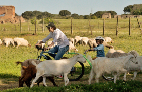 Appia Antica and Catacombs by ebike: guided tour with Private Transfer from Circus Maximus