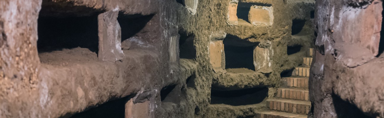 banner image